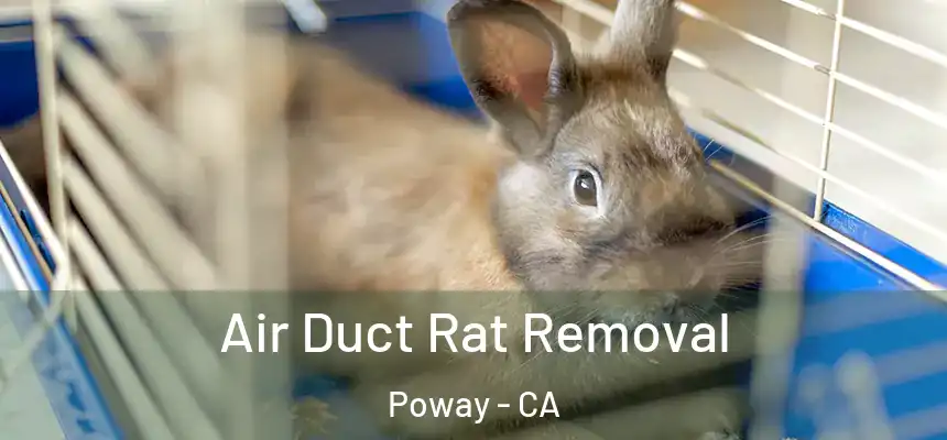  Air Duct Rat Removal Poway - CA