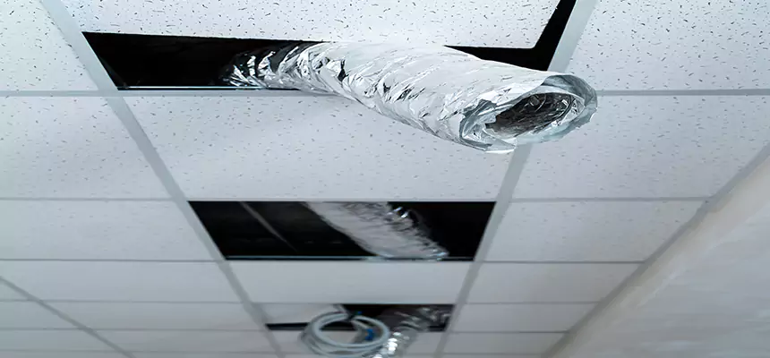 Affordable HVAC Sanitizing After Pest Removal in Poway