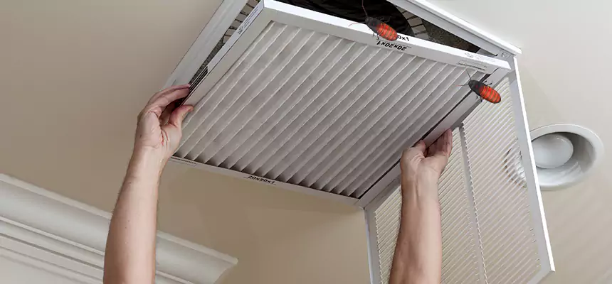 Our Insect Removal from Air Ducts Services in Poway, CA