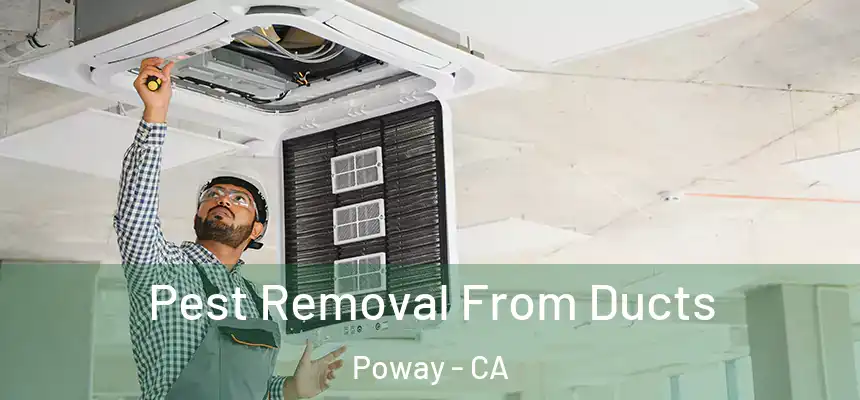 Pest Removal From Ducts Poway - CA
