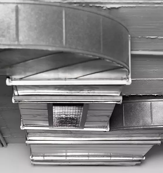 Professional Air Duct Pest Removal in Poway, CA