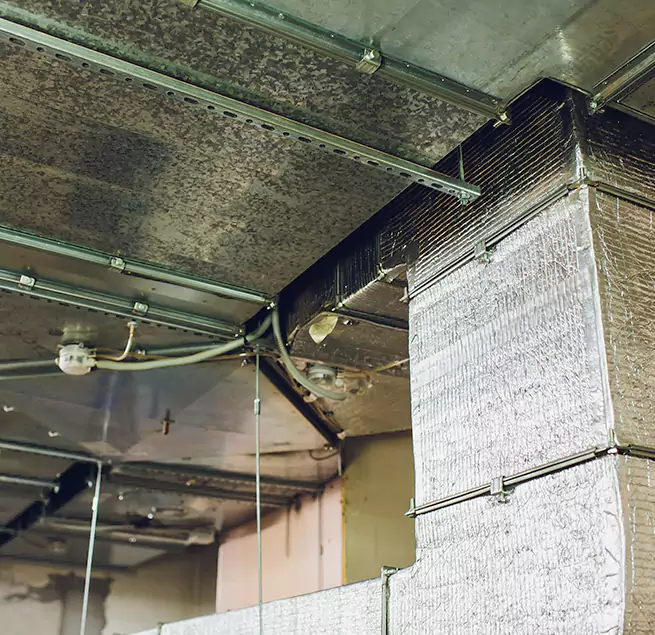 Why Homeowners & Businesses Trust Us in Poway, CA?